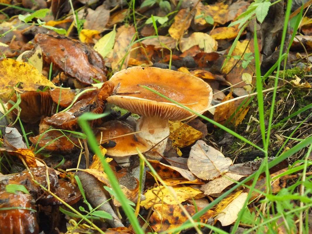 ������ ����� ����� �������� ������� �� PhotoGeek.ru #������ ��� �������