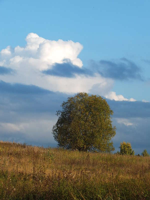 ����� ����� �������� ������� �� PhotoGeek.ru #������ ��� �������