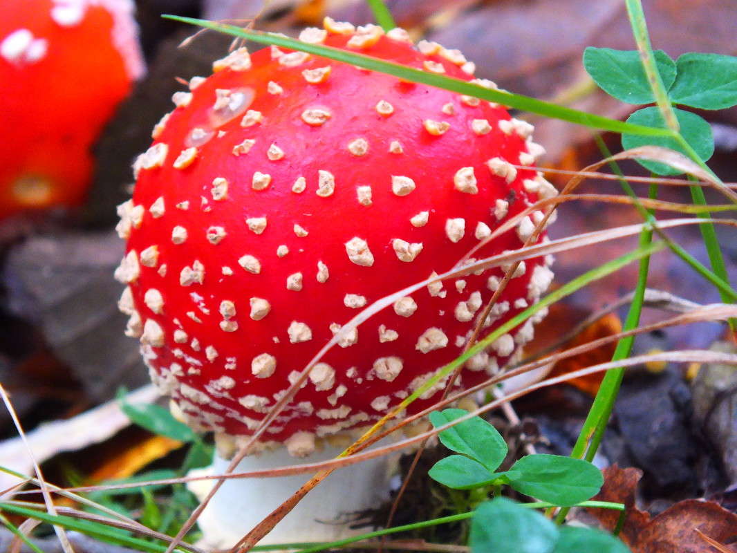 ���� ���� - ���������!! ����� �������� ������� �� PhotoGeek.ru #������ ��� �������