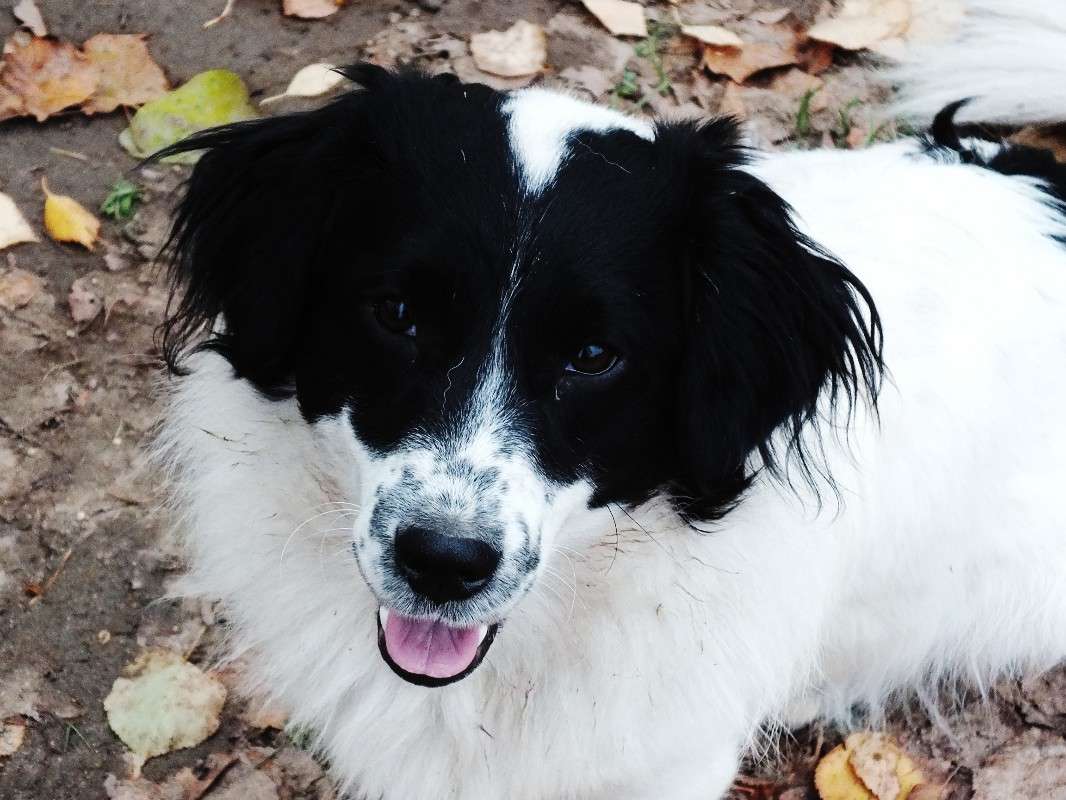 ���� ����� �������� ������� �� PhotoGeek.ru #�������� ��� #�������� ���