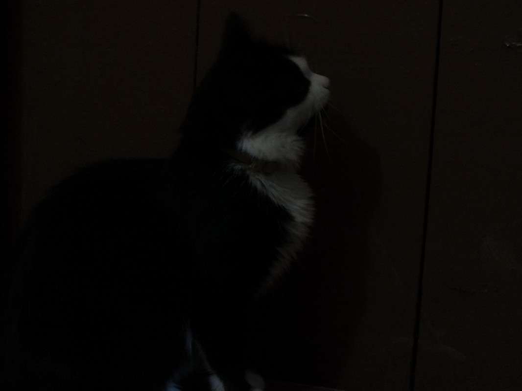 Ҹ���� ����� � ����� ������� ����� �������� ������� �� PhotoGeek.ru #�������� ��� #�������� ���