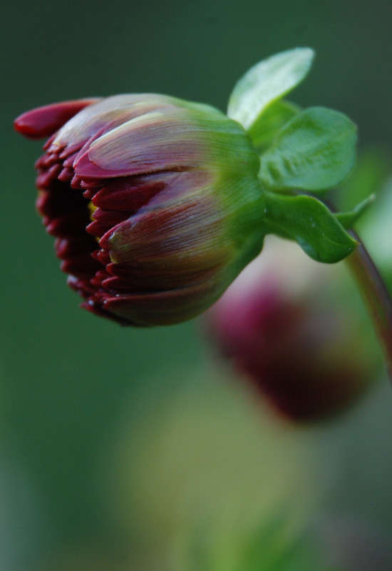 ����� ����� �������  �� PhotoGeek.ru #������ ��� �������