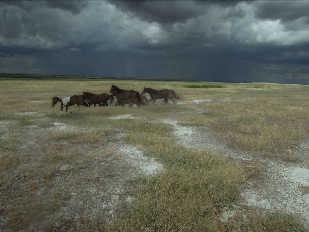 �������� ����� �������  �� PhotoGeek.ru #�������� ��� #������ ��� �������