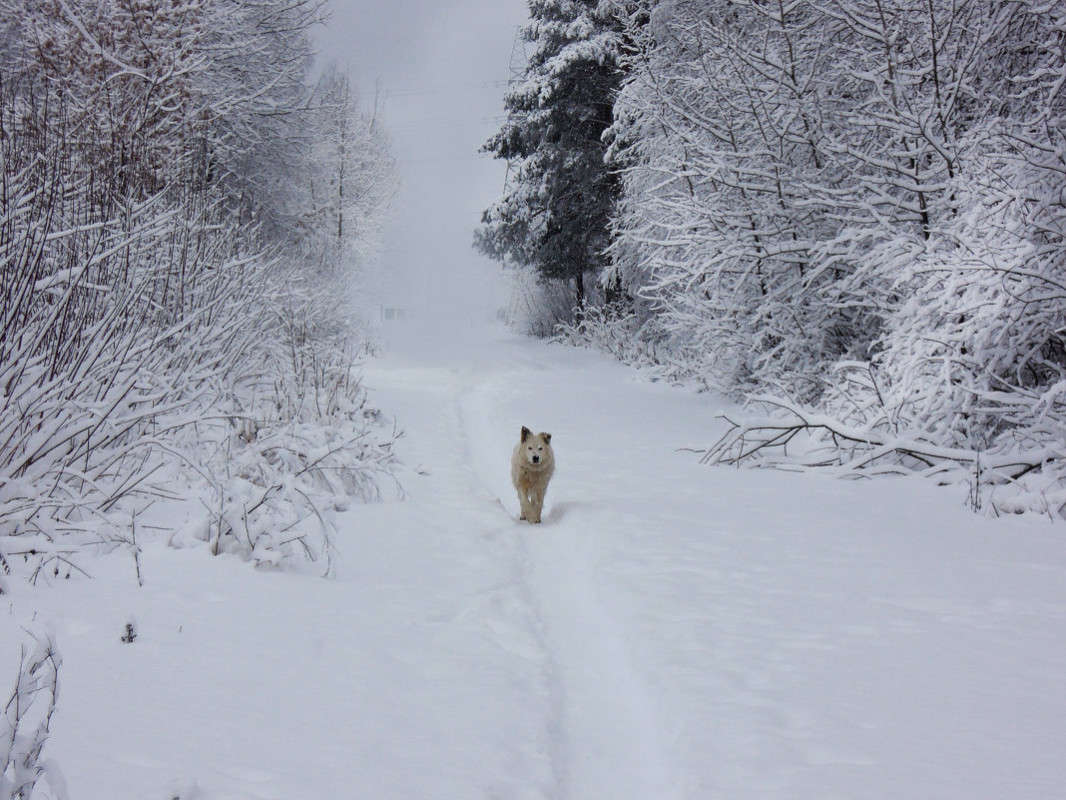 ... ����� �������  �� PhotoGeek.ru #�������� ���