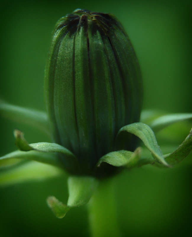 ��������� ����� �������  �� PhotoGeek.ru #������ ��� �������