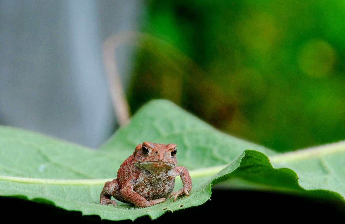 ... ����� �������  �� PhotoGeek.ru #����� #�������� ���