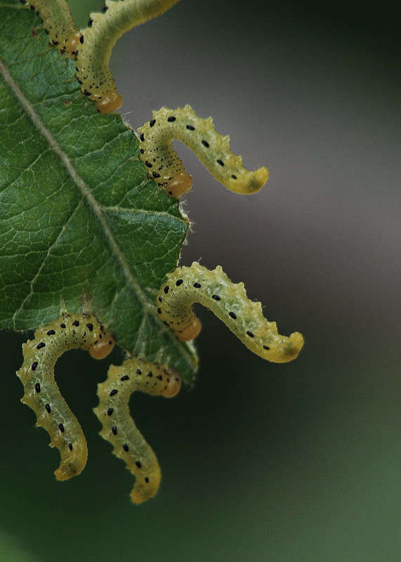 ����� ����� �������  �� PhotoGeek.ru #�����