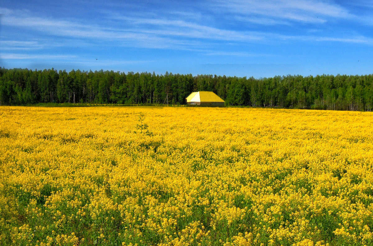 �������� ����� �������  �� PhotoGeek.ru #������ ��� �������