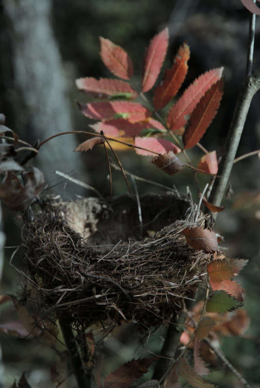 ... ����� �������  �� PhotoGeek.ru #������ ��� �������