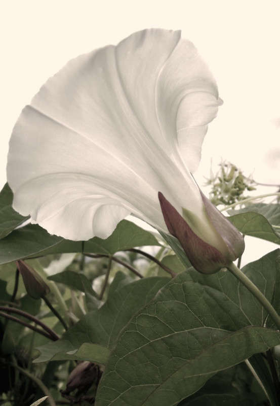 ... ����� �������  �� PhotoGeek.ru #����� #������ ��� �������