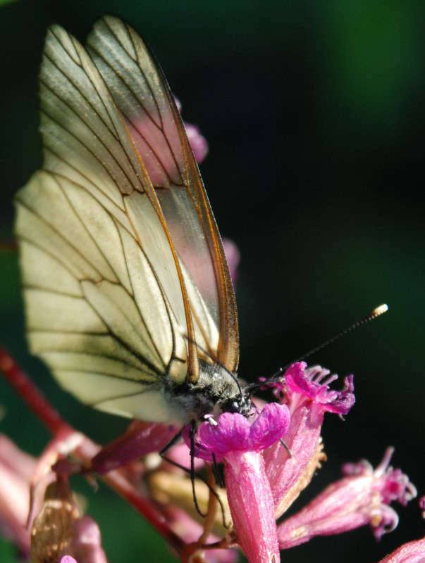 ... ����� �������  �� PhotoGeek.ru #�������� ���