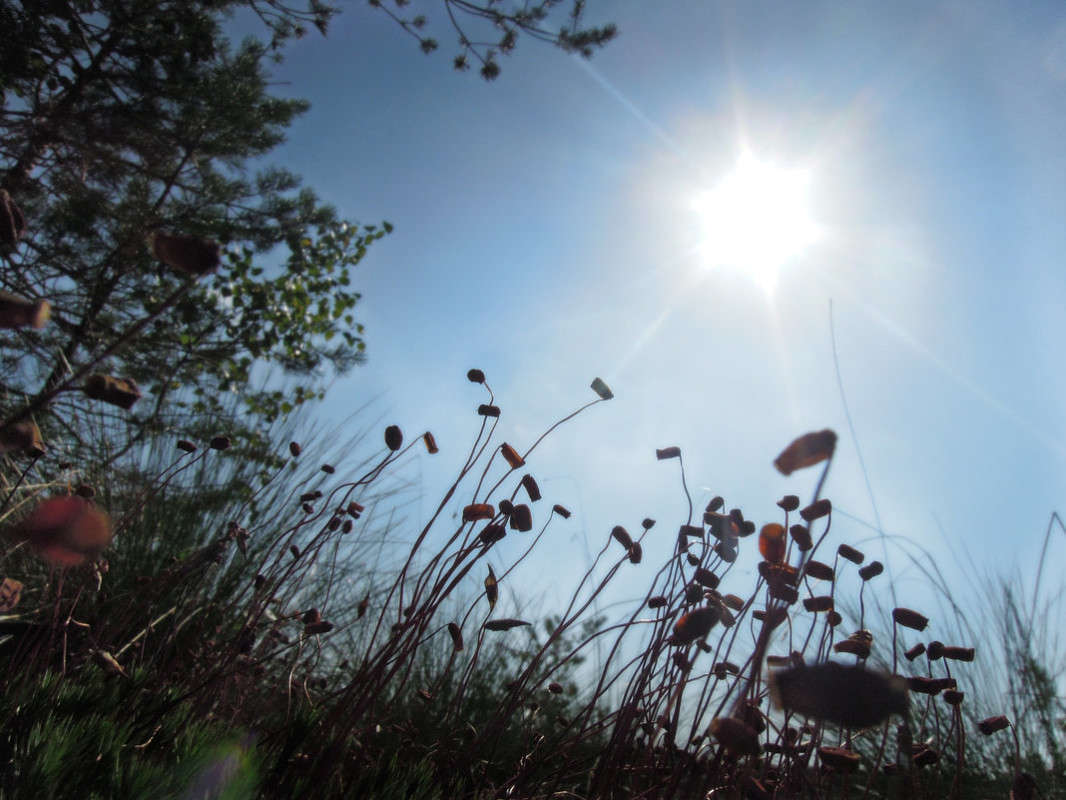 ... ����� �������  �� PhotoGeek.ru #������ ��� �������