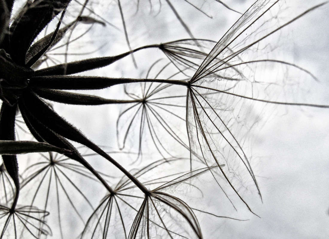 ��������� ����� �������  �� PhotoGeek.ru #����� #������ ��� �������