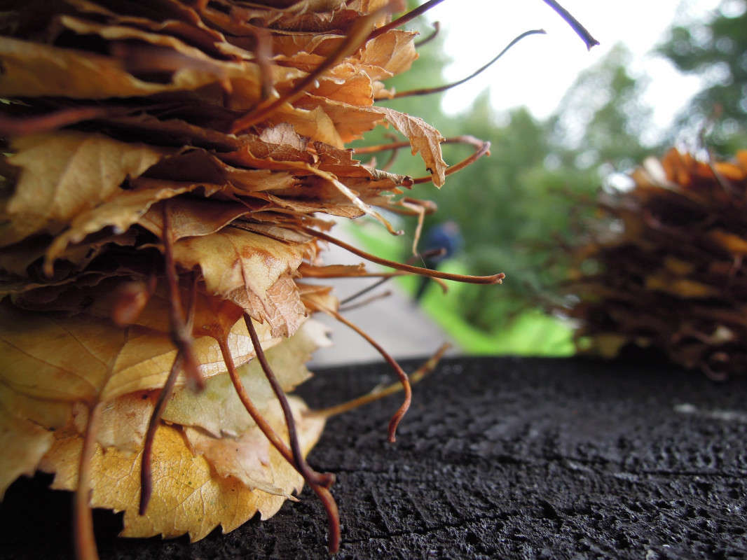 ����� ����� �������  �� PhotoGeek.ru #������ ��� �������