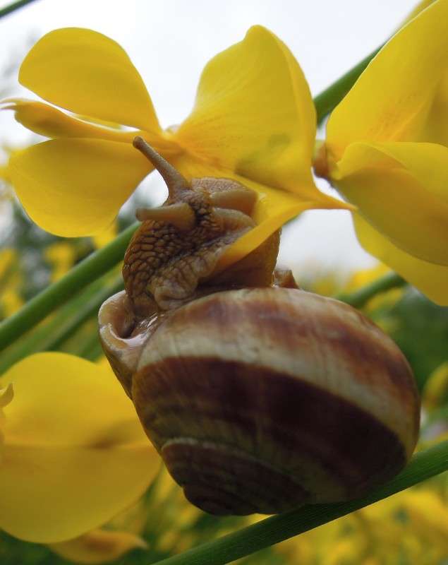 ... ����� �������  �� PhotoGeek.ru #����� #�������� ���