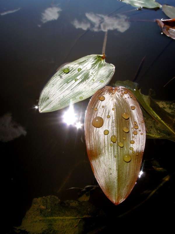 ... ����� �������  �� PhotoGeek.ru #������ ��� �������