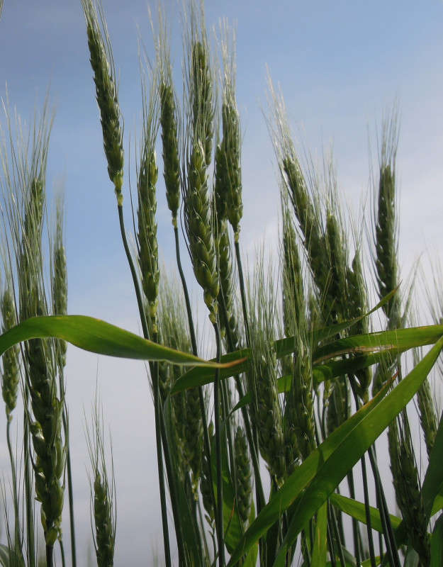 ... ����� �������  �� PhotoGeek.ru #������ ��� ������� #����� ��������������