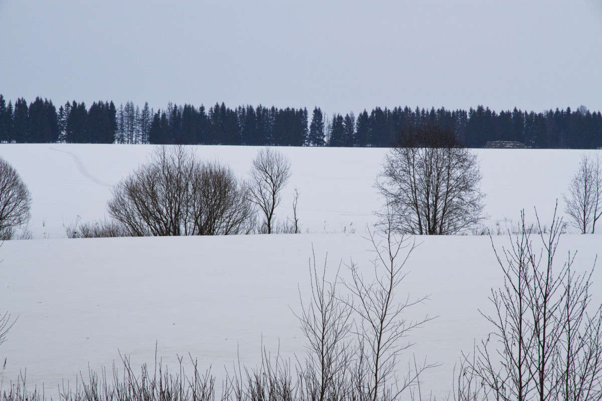 ... ����� �������  �� PhotoGeek.ru #������ ��� �������