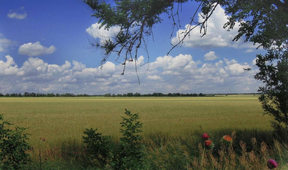 ... ����� �������  �� PhotoGeek.ru #������ ��� �������