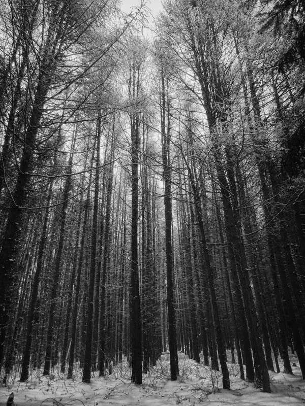 ... ����� �������  �� PhotoGeek.ru #������ ��� �������