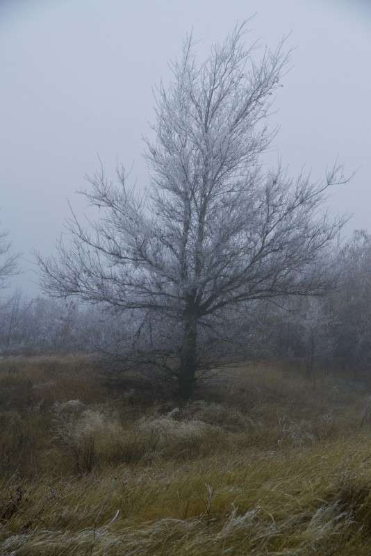 ... ����� �������  �� PhotoGeek.ru #������ ��� �������