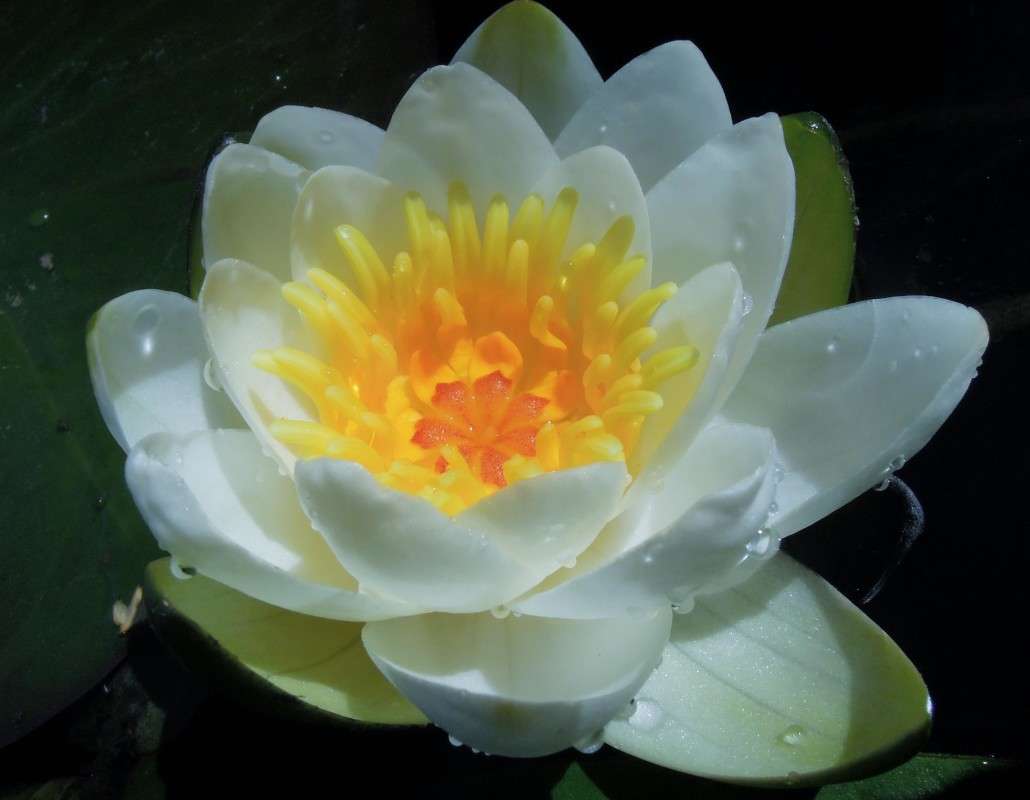 ... ����� �������  �� PhotoGeek.ru #������ ��� �������