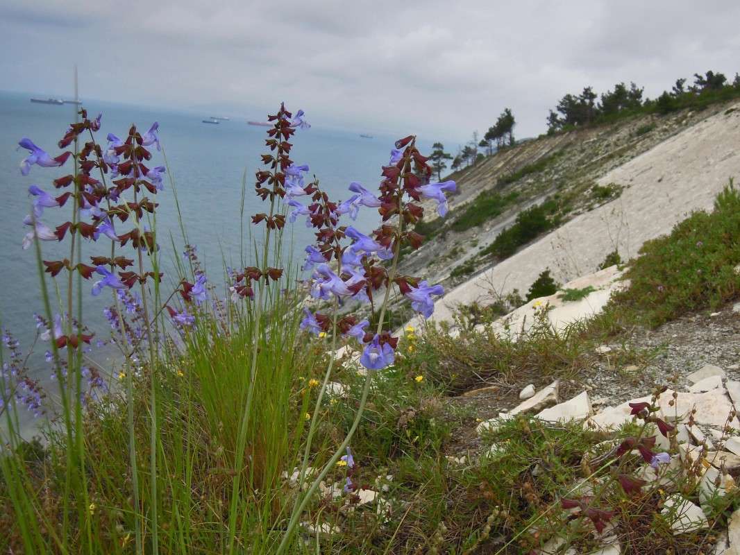 ... ����� �������  �� PhotoGeek.ru #������ ��� �������