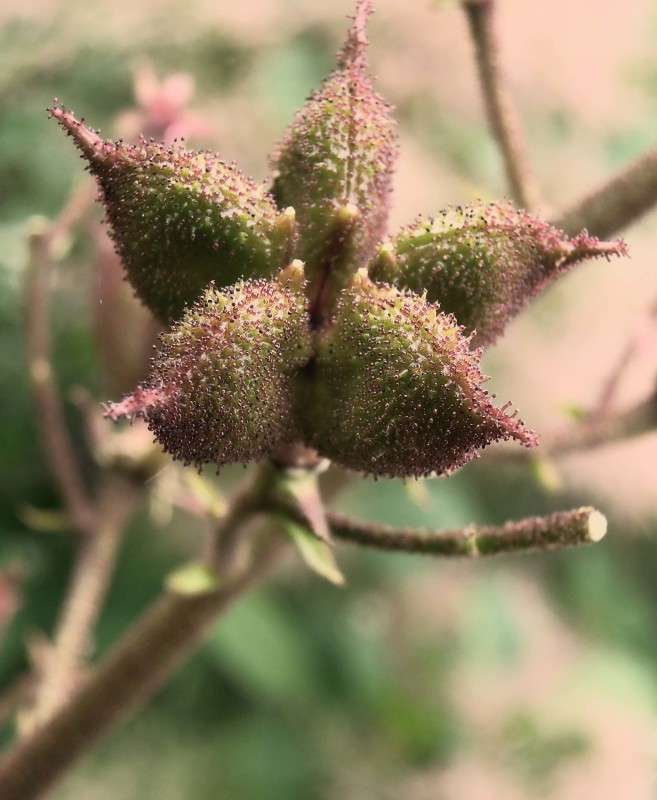 ... ����� �������  �� PhotoGeek.ru #�����