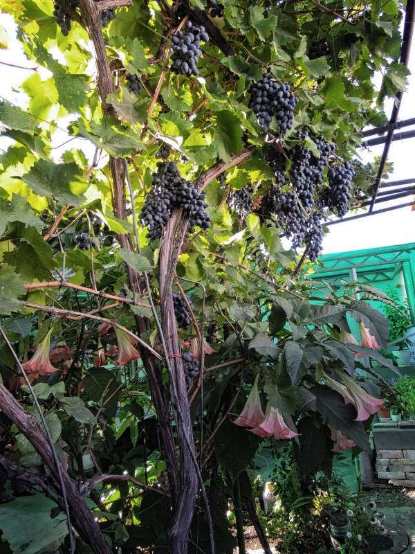 ... ����� �������  �� PhotoGeek.ru #�����