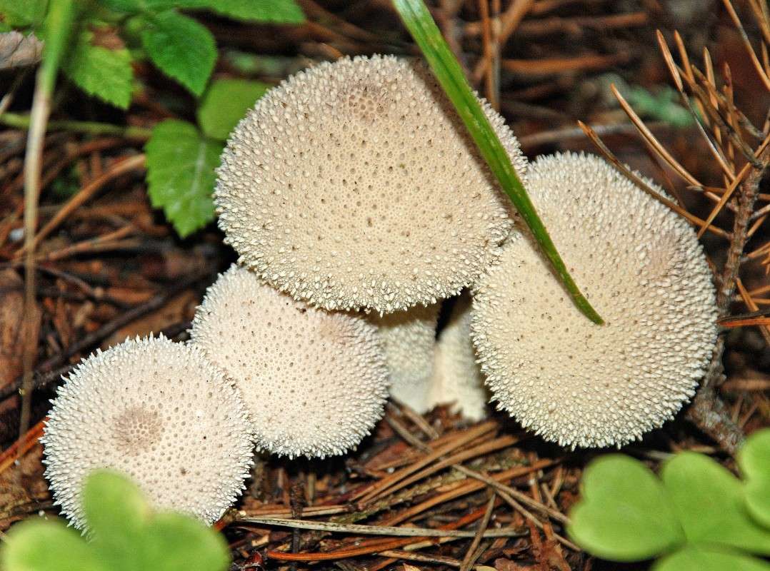 ... ����� �������  �� PhotoGeek.ru #������ ��� �������