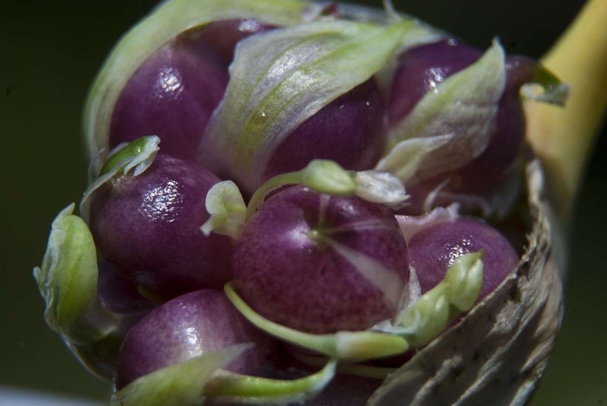 ... ����� �������  �� PhotoGeek.ru #������ ��� �������