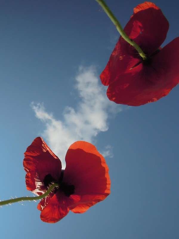 ... ����� �������  �� PhotoGeek.ru #������ ��� �������