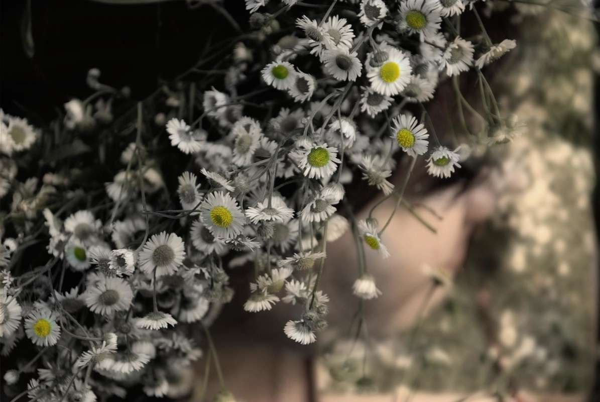 ... ����� �������  �� PhotoGeek.ru #������ ��� �������