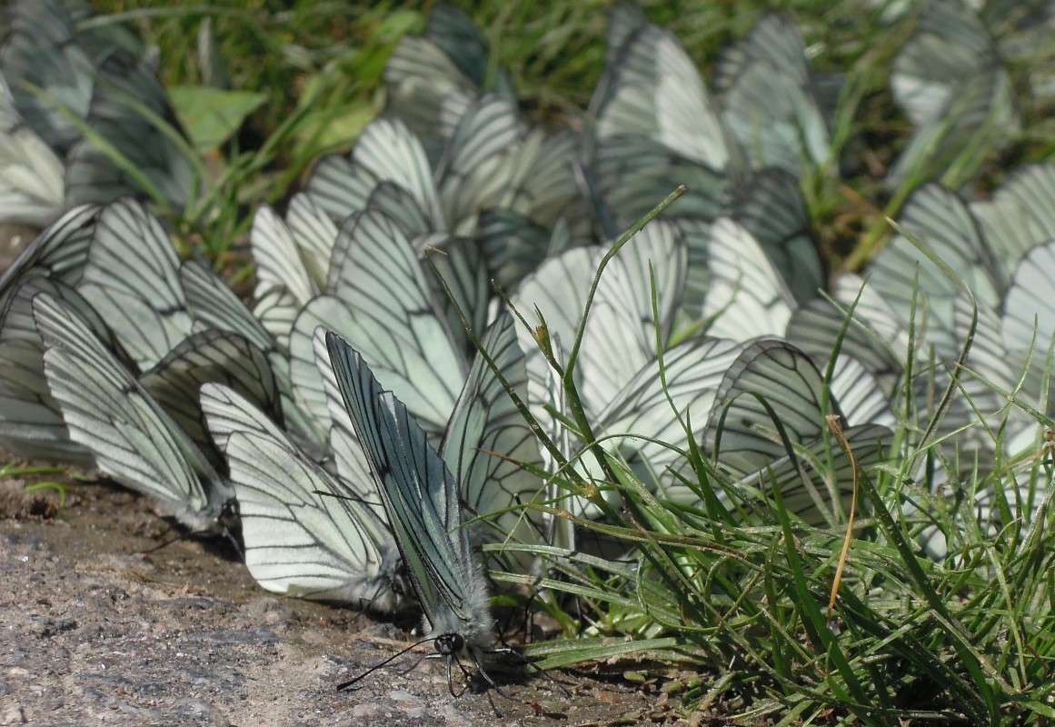 ... ����� �������  �� PhotoGeek.ru #�������� ���