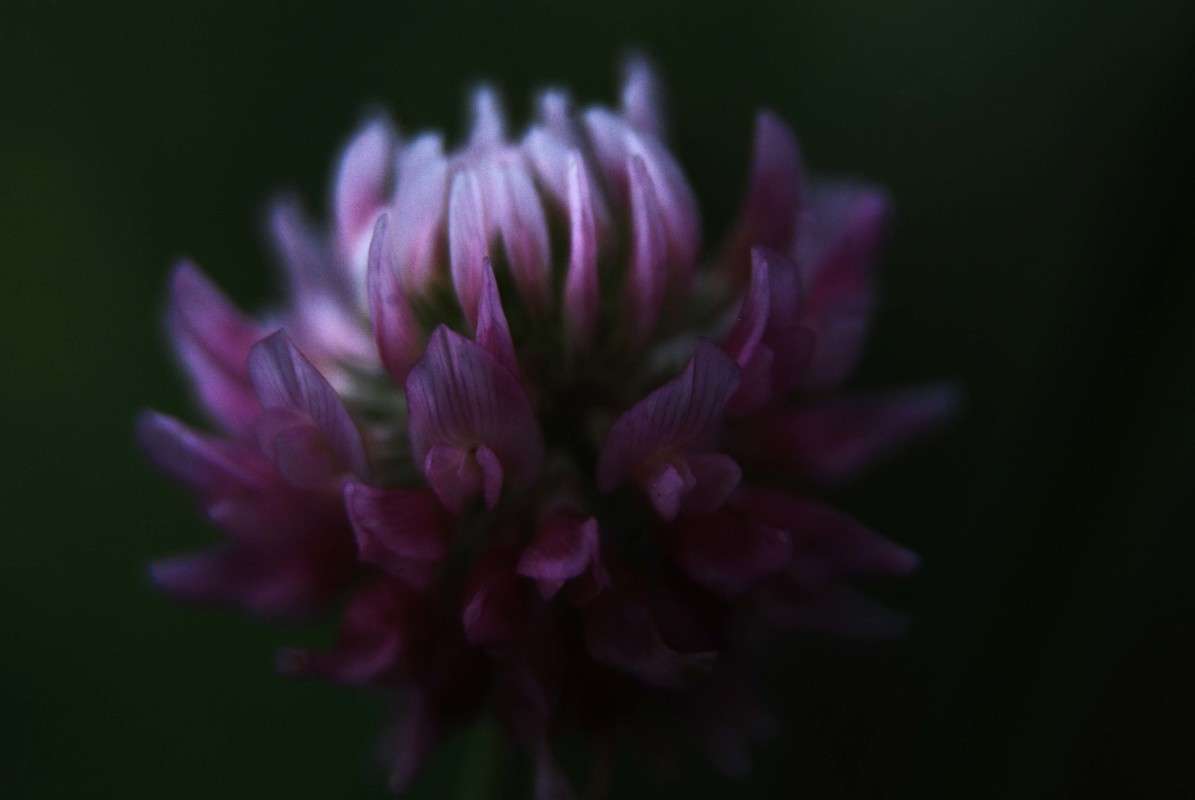 ... ����� �������  �� PhotoGeek.ru #�����