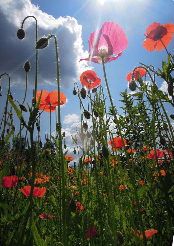 ... ����� �������  �� PhotoGeek.ru #������ ��� �������