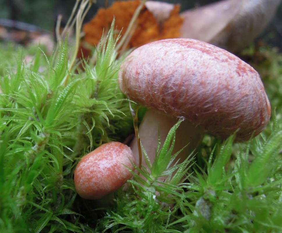 ... ����� �������  �� PhotoGeek.ru #������ ��� �������