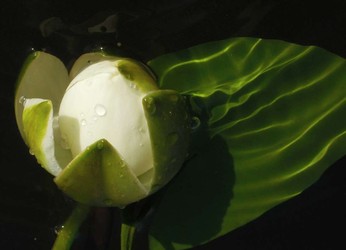 ... ����� �������  �� PhotoGeek.ru #������ ��� �������