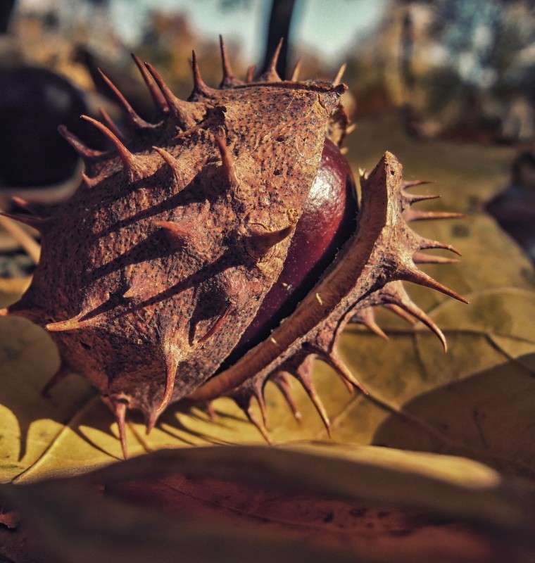 ... ����� �������  �� PhotoGeek.ru #����� #������ ��� �������