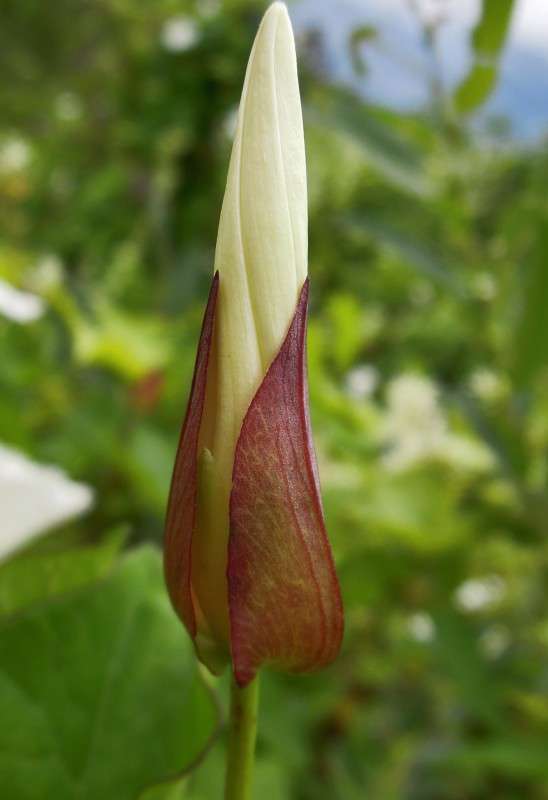 ... ����� �������  �� PhotoGeek.ru #�����