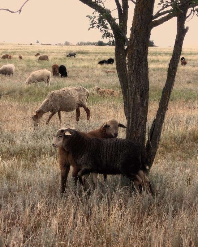 ... ����� �������  �� PhotoGeek.ru #�������� ���