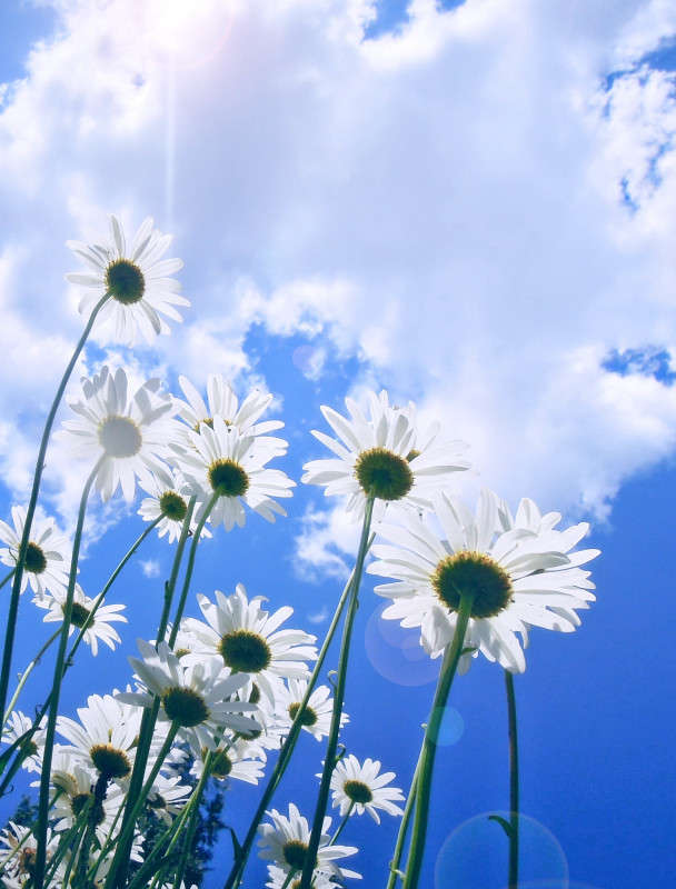 ... ����� �������  �� PhotoGeek.ru #������ ��� �������