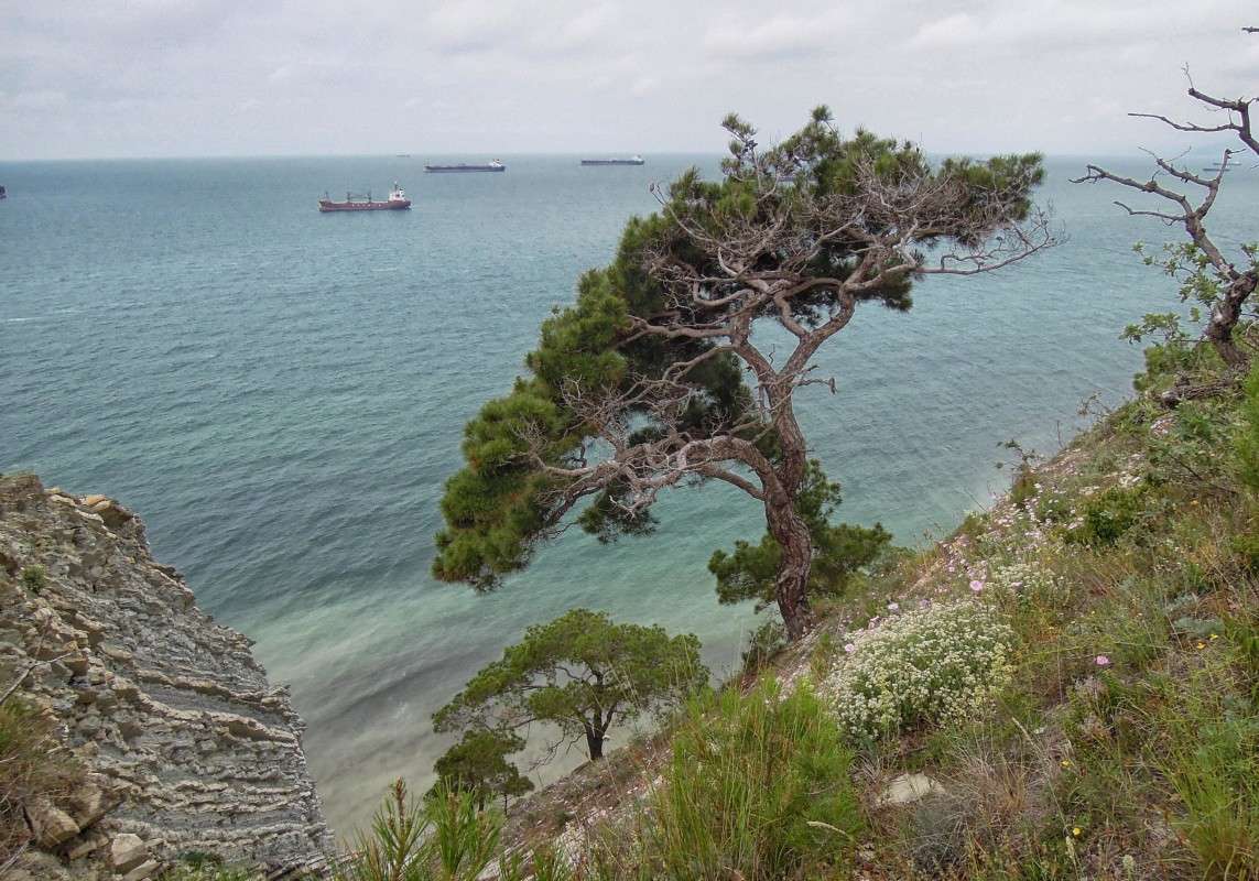 ... ����� �������  �� PhotoGeek.ru #������ ��� �������