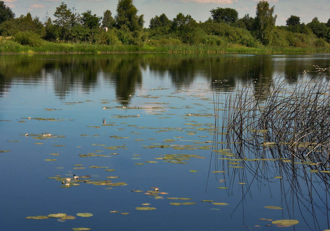 ... ����� �������  �� PhotoGeek.ru #������ ��� �������