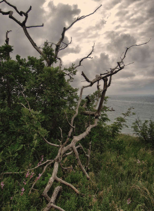 ... ����� �������  �� PhotoGeek.ru #������ ��� �������