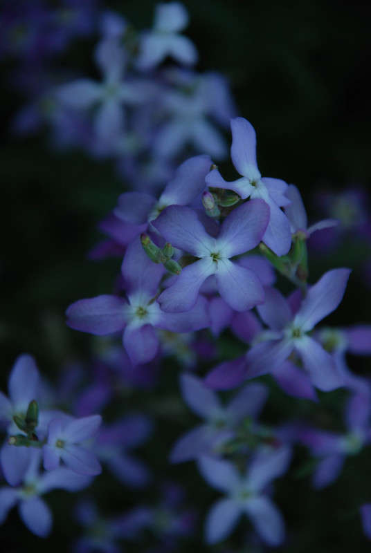 ... ����� �������  �� PhotoGeek.ru #������ ��� �������