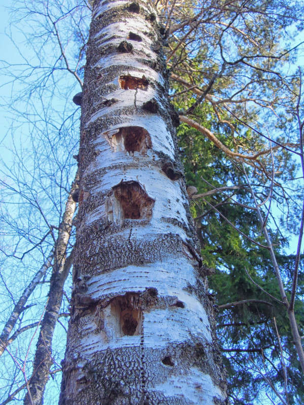 ... ����� �������  �� PhotoGeek.ru #������ ��� �������