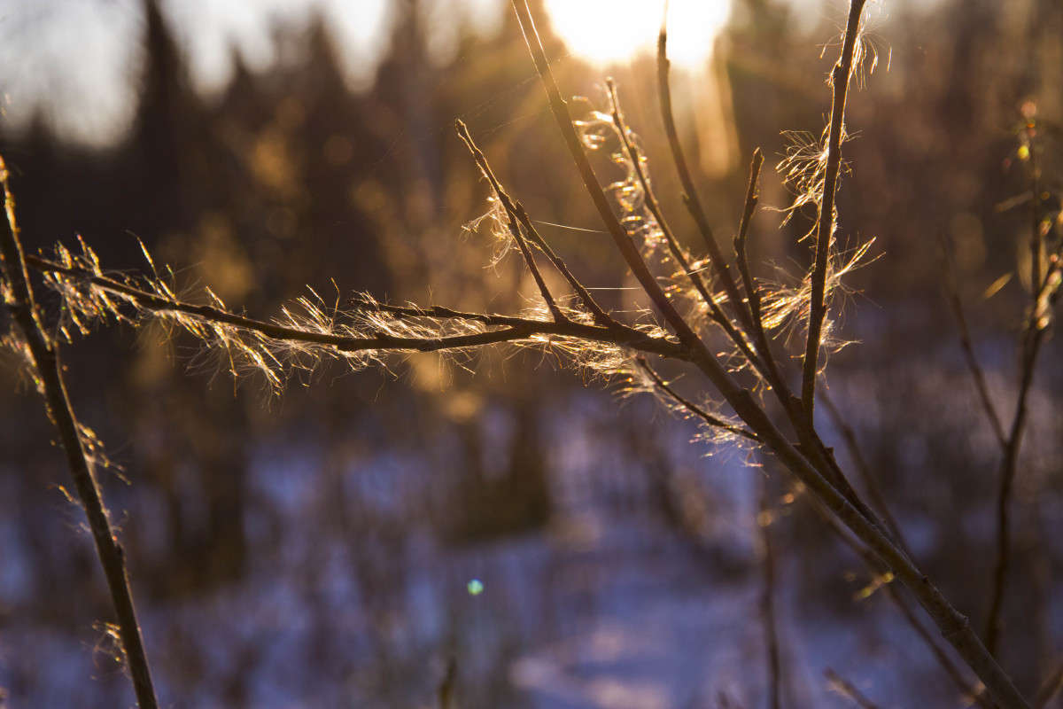 ... ����� �������  �� PhotoGeek.ru #������ ��� �������