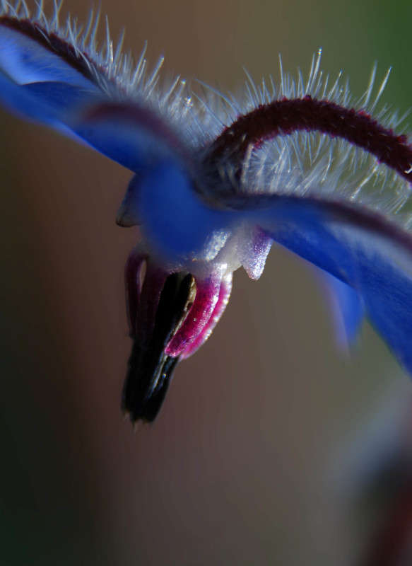 ... ����� �������  �� PhotoGeek.ru #������ ��� �������