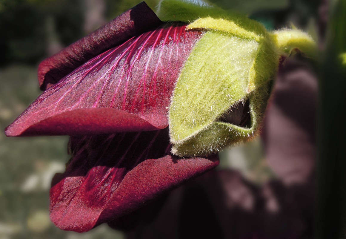 ... ����� �������  �� PhotoGeek.ru #������ ��� �������